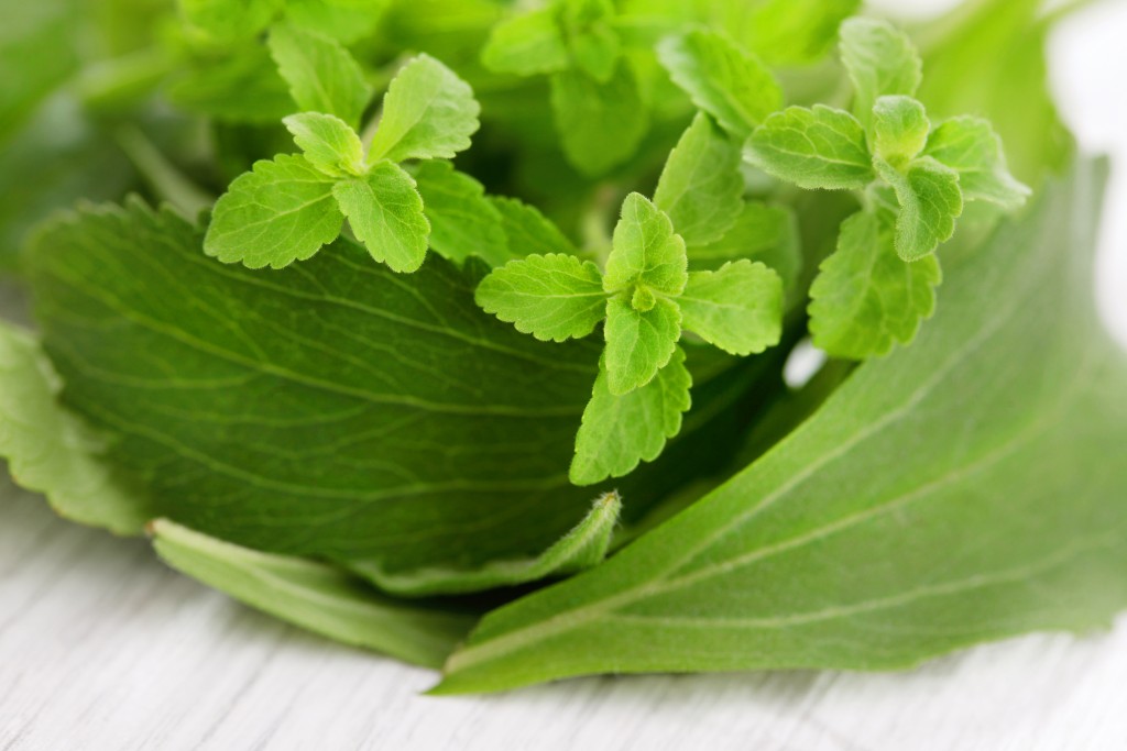 Stevia Rebaudiana Bertoni Mundo Ayurdevas